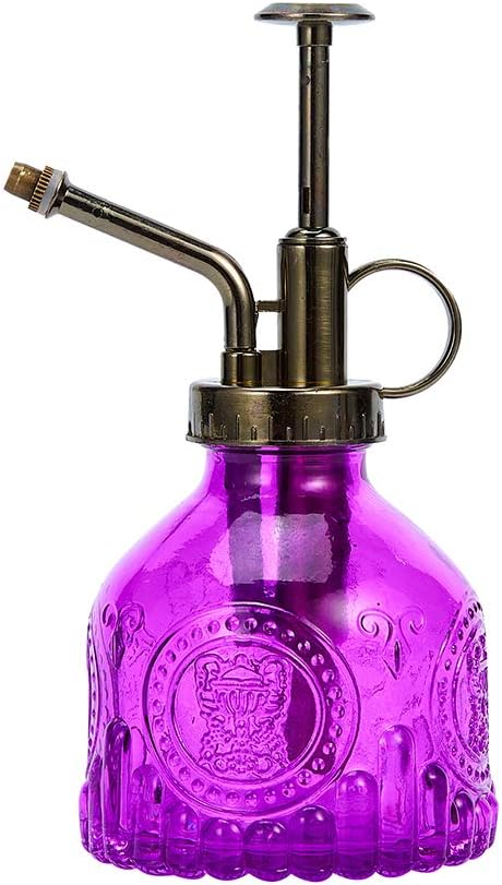 Glass Plant Mister Spray Bottle, 6.5" Tall Vintage Plant Spritzer Watering Can, Succulent Watering Bottle with Top Pump, Small Plant Sprayer Mister for Indoor Outdoor House Plant - Purple
