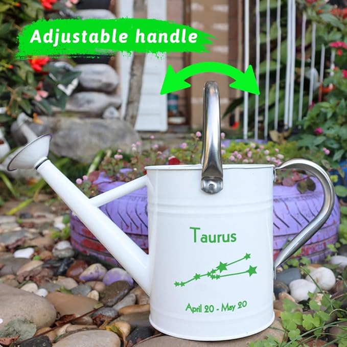 Metal Watering Can for Outdoor and Indoor Plants, Watering Can Decor, 1 Gallon (Taurus)
