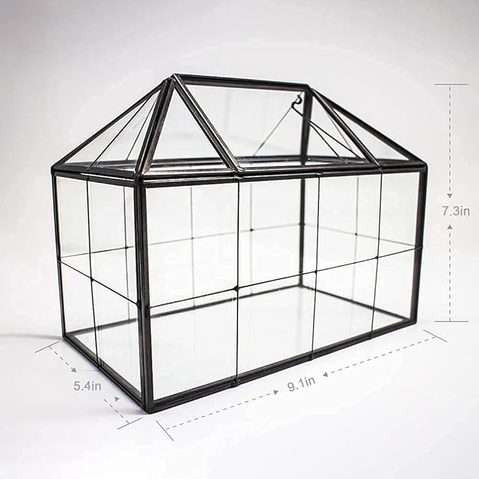 Ferrisland Glass Terrarium Greenhouse House Shape Display Box Planter for Succulents Plant Terrarium Container Mordern Tabletop Decor Gardern DIY Kit