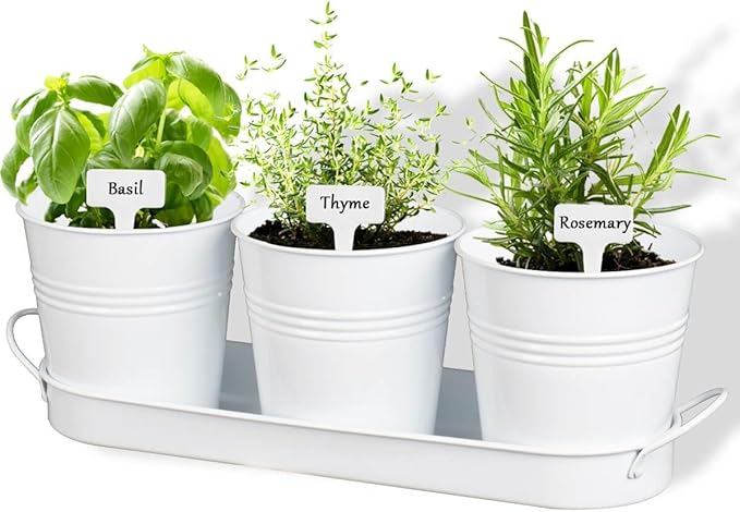vensovo Indoor Herb Planter Set - Galvanized Windowsill Garden Pots with Tray & Drainage, Set of 3 Metal Window Planters for Kitchen & Outdoor Use, White