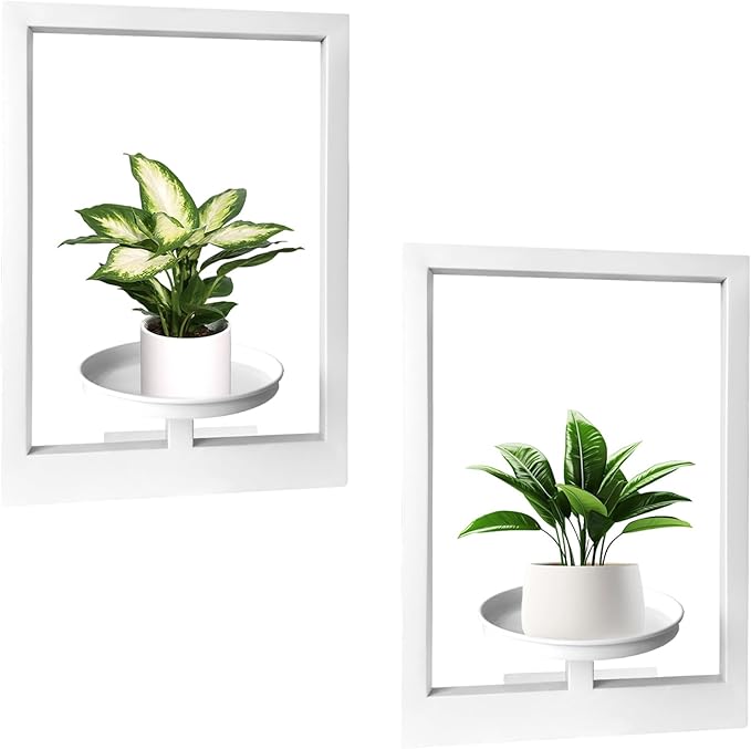 Picture Frame Plant Holder, Wall Mount Plants shelf Indoor Outdoor, Metal Hanging Planters Stand Decor, Window Planter Hanger Shelves, Modern Floating Ornament Rack Art for Home & Garden((White 2pc))