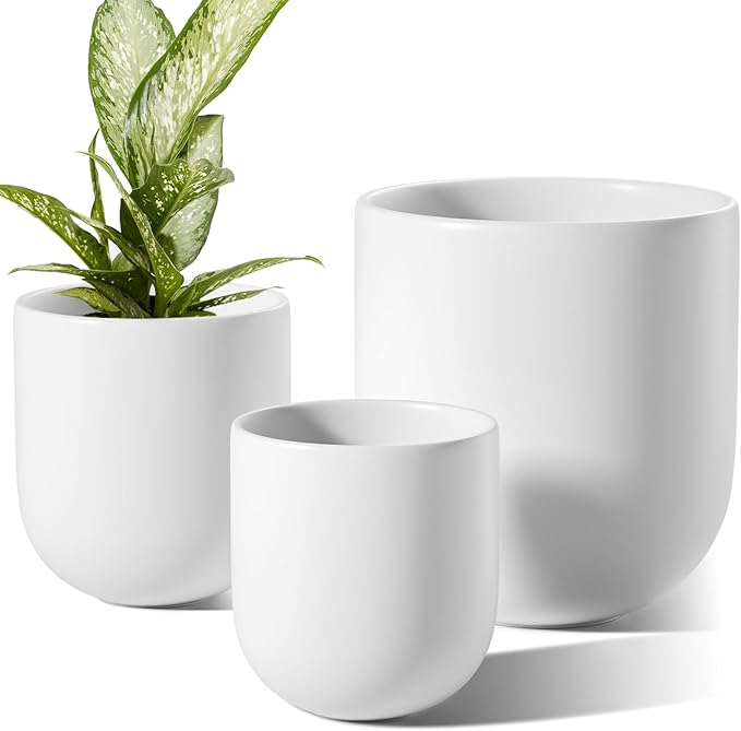 LE TAUCI 6+8+10 Inch Ceramic Pots for Plants, Plant Pots Indoor with Drainage Hole and Plug, Planter Pots for Home Office Room Patio, Set of 3, White