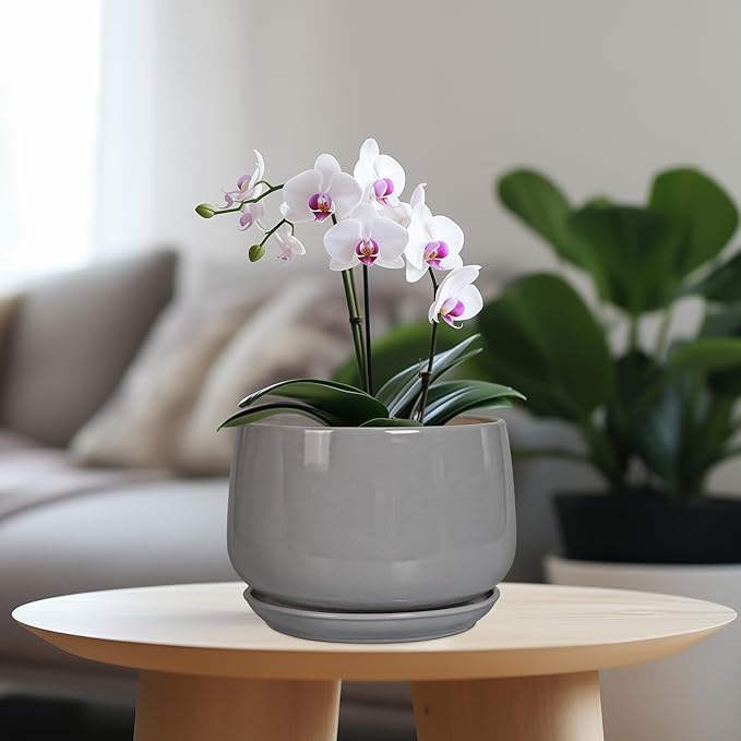 G EPGardening Modern Ceramic Planter - 7 Inch Round Modern Plant Pot Indoor with Drainage and Ceramic Tray Indoor Outdoor for Flower, Vanity Decor, Birthday Gifts, Grey