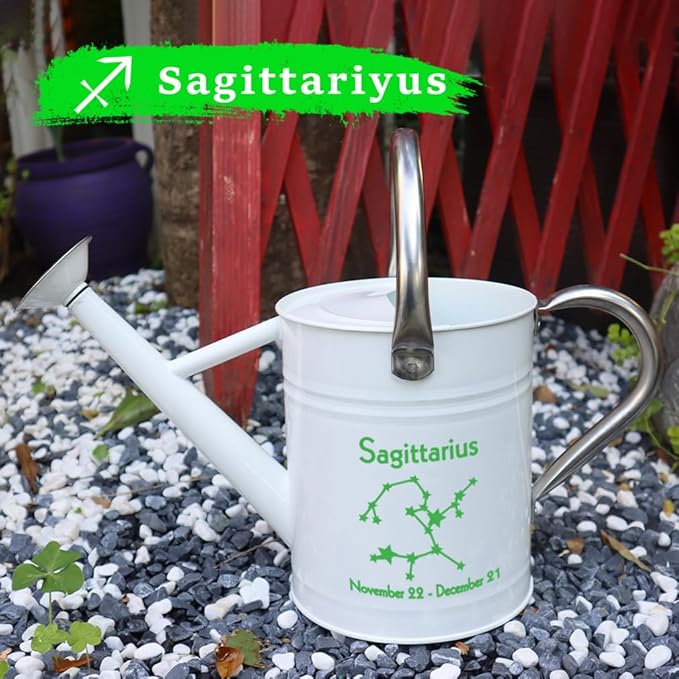 Metal Watering Can for Outdoor and Indoor Plants, Watering Can Decor, 1 Gallon (Sagittarius)