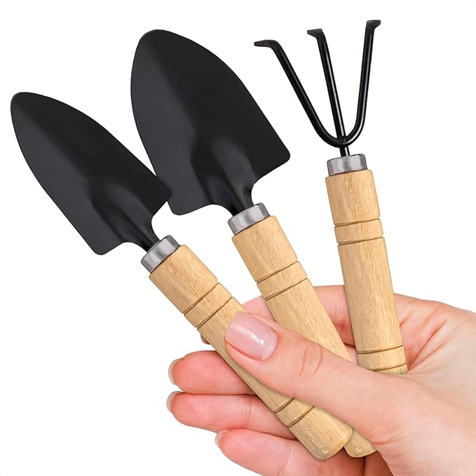 Mini Garden Tools - 3Pcs Indoor Plant Tools Set Indoor Gardening Tools Small Garden Shovel Mni Rake Small Gardening Tools Set Hand Rake Gardening Spade Gardening Supplies Indoor Garden Trowels