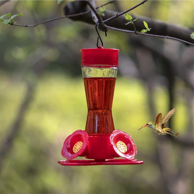 Nature's Rhythm Bird Feeder 4 bee Guard Plastic Feeding Port 8oz Glass Pinch Waist Hummingbird Feeder,1pcs