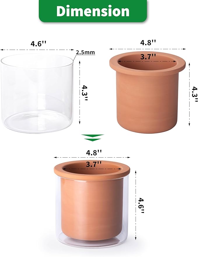 Phoenix Vine 4 Inch Self Watering Plants Pot, Design Terracotta Pot for Plants, Indoor Cylinder Terra Cotta Planter with Glass Vase, Set of 1, 51-A-E-1
