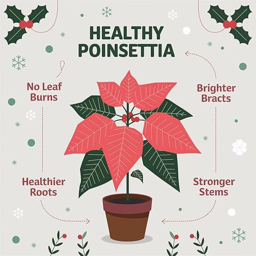 Poinsettia Plant Fertilizer - 3-1-2 NPK - Organic Liquid Plant Food for Christmas Flowers and Trees - 32oz Concentrate