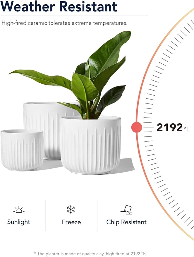 LE TAUCI Ceramic Planters, Set of 3 Plant Pots for Indoor Plants, 8.3+6.9+5.7 inch Flower Pots with Drainage Holes, Medium Cylinder Planters Pot for Indoor House Plants, White