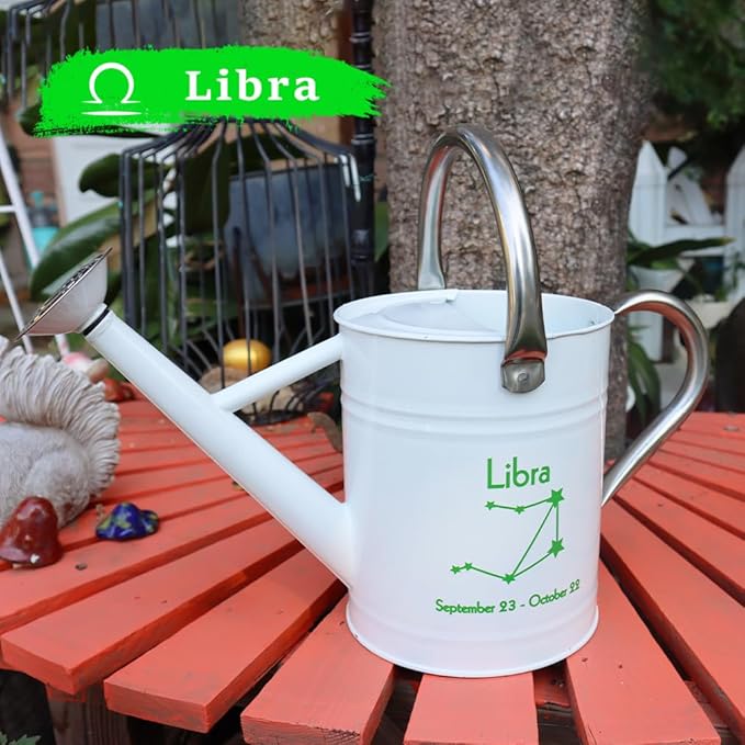 Metal Watering Can for Outdoor and Indoor Plants, Watering Can Decor, 1 Gallon (Libra)