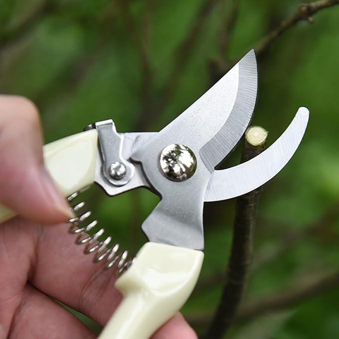 12 Pcs Garden Scissors for Plant, Tip Pruning Shears for Cutting Flowers, Trimming Plants, Bonsai and Fruits Picking (Bypass Blade Pruner)