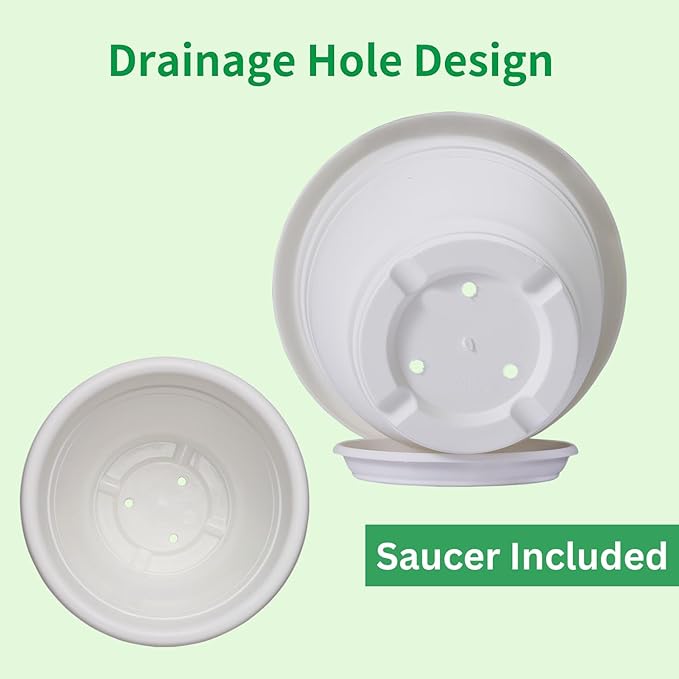 5 Packs 10 inch Plant Pots + Saucer, Planters for Indoor & Outdoor Plants with Drainage Holes | Plastic Flower Pots, Large Planter (Light Green, 10 inch)