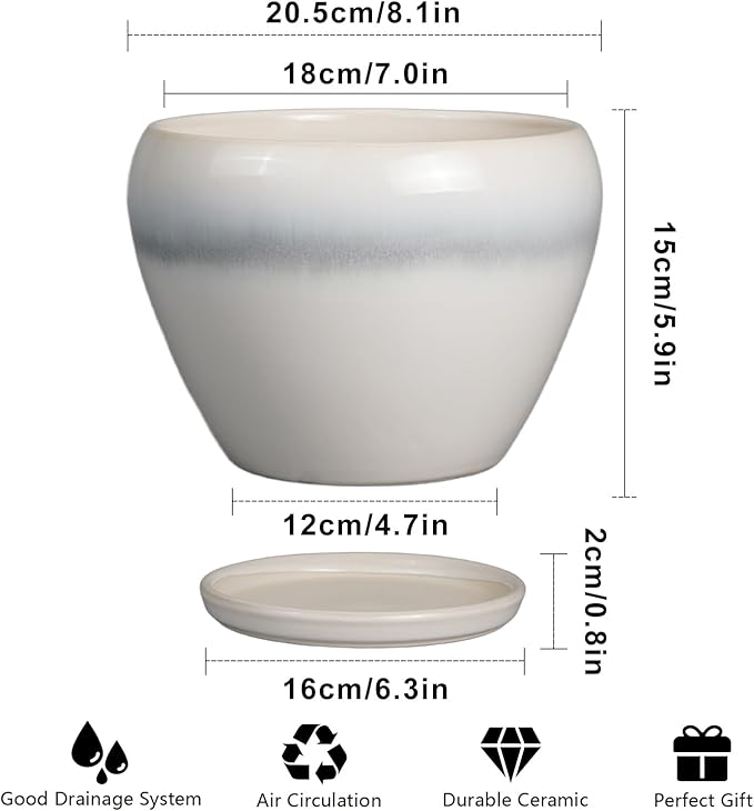 Ceramic Planter - 8 Inch Plant Pot with Drainage Hole and Saucer, Glaze Round Flower Pot for Home Garden Patio Office, White