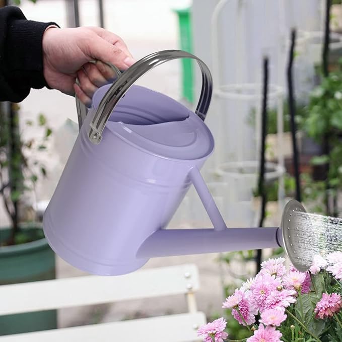 Metal Watering Can for Outdoor and Indoor Plants, Watering Can Decor, 1 Gallon (Purple)