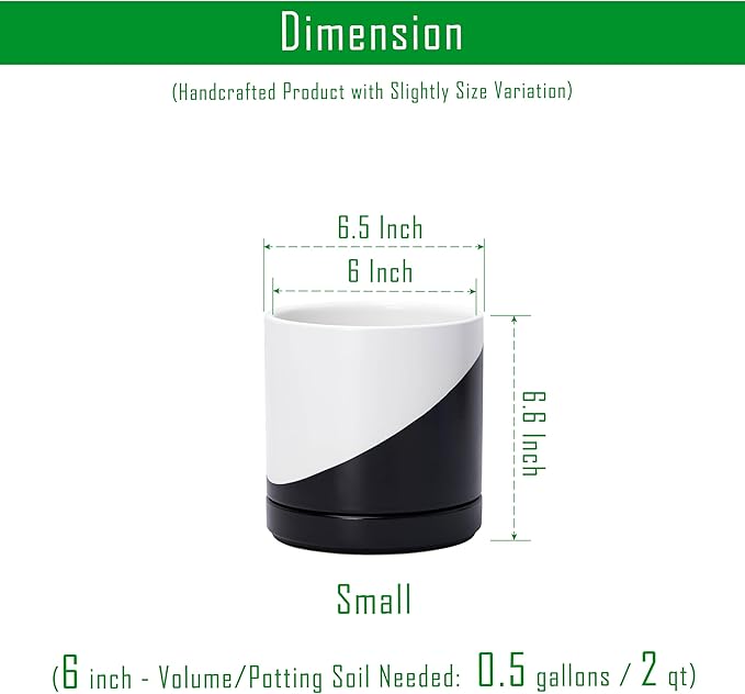 D'vine Dev 6.5 Inch Ceramic Planter Pot with Drainage Hole and Saucer, Indoor Cylinder Round Planter Pot, Oblique Monochrome Black and White, 94-O-C-K