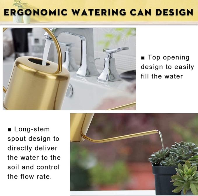 Remiawy Watering Can Indoor Outdoor Stainless Steel Watering Cans for House Plants Long Spout Water Can for Succulent Bonsai Garden Flower(40oz/1300ml)