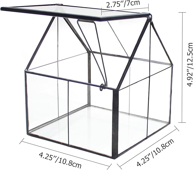 NCYP Mini Glass Geometric Terrarium with Lid - 4.25" x 4.25" x 4.92" Small House Shape Close Planter Pot for Succulents Plant - Handmade, Home Garden Office Tabletop Decor, Black (Terrarium Only)