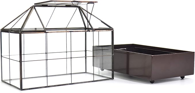 Large Tall Plant Terrarium Glass Greenhouse with Lid and Tray, Indoor Tabletop Orchid Succulent Cacti Kit 9.5'X9.8'X5.6'