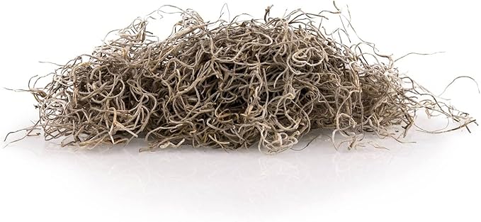 Premium Natural Spanish Moss | Natural Preserved - Great Ground Cover - Filler for Potted Plants - by GARDENERA - 3 Quart Bag