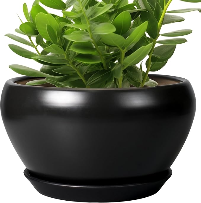 Ceramic Pot for Plants - 11 Inch Plant Pot Indoor with Drainage Hole and Saucer Large Planter Decorative Planter Modern Outdoor Flower Pot for House Balcony Black