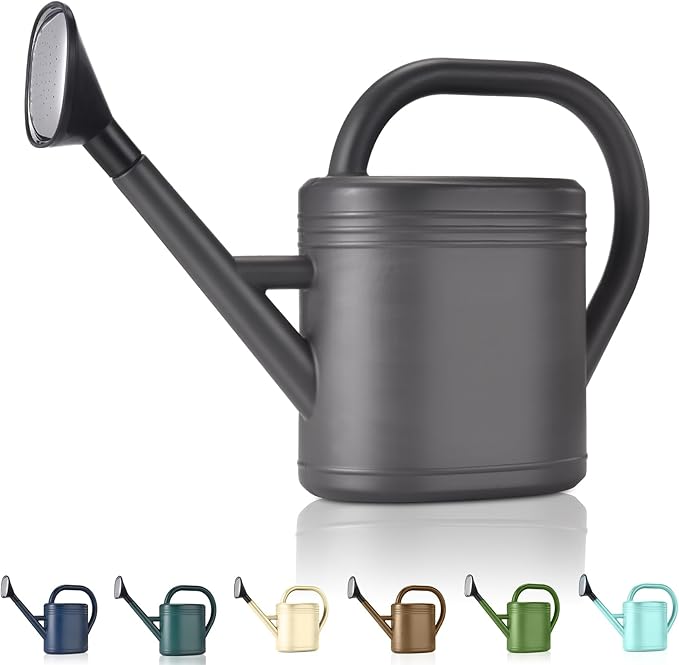 Watering Can 1 Gallon for Garden, Indoor Plants, Outdoor Plant House Flower, Large Long Spout with Sprinkler Head (Grey)