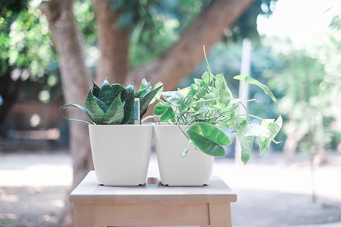 GARDENIX DECOR 5" Self Watering pots for Indoor Plants - Flower Pot with Water Level Indicator for Plants, Grow Tracking Tool - Self Watering Planter Plant Pot – 2 Pack White