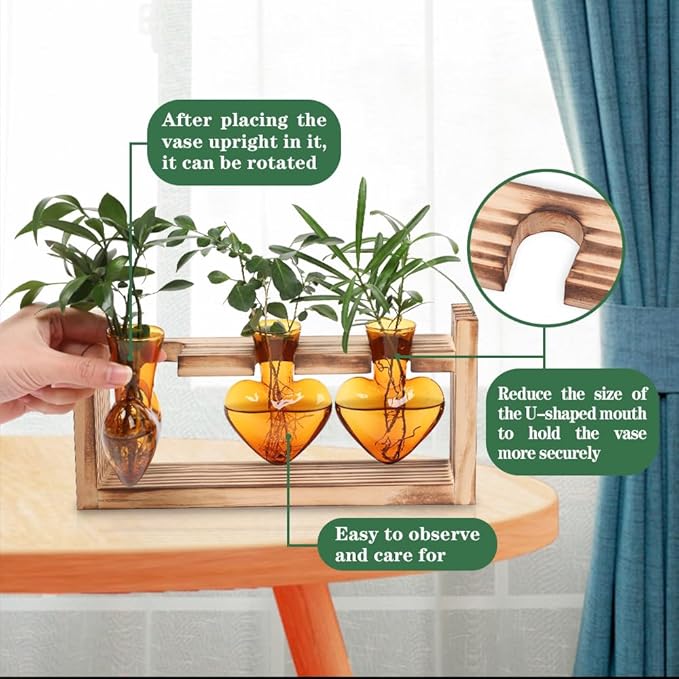Plant Terrarium Propagation Stations Hydroponics Home Garden Decoration Gift for Women with Wooden Stand Heart Shaped Colored Glass Vase