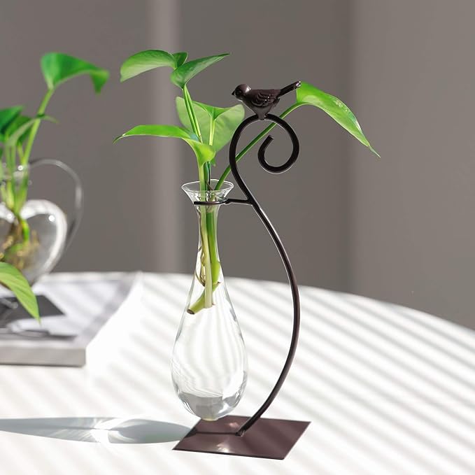 Marbrasse Desktop Glass Planter Hydroponics Vase,Planter Bulb Vase with Holder for Home Decoration,Modern Creative Bird Plant Terrarium Stand, Scindapsus Container (Water Drop Vase)