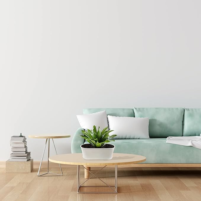 10-Pack Herb Planter with Saucer for Plant Window Box, Plastic Planter with Multiple Drainage Holes and Tray for home Garden Succulents Modern Decorative Window Planter Box Flower Pots Gardening Pot