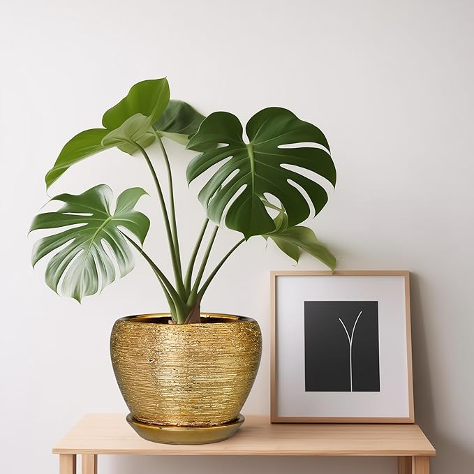 Indoor Plant Pot 6 Inch - Ceramic Pot for Plants Outdoor Planter with Drainage Hole and Saucer Round Decorative Planter Modern Flower Pot for Home Decor Gold