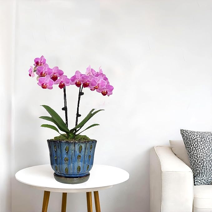 6 inch Round Ceramic Orchid Pot with Holes Orchid Planter (Dark Blue)
