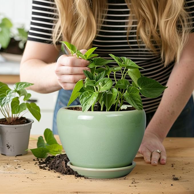 6 Inch Plant Pot - Ceramic Planter for Indoor Plants Round Planter Outdoor Plant Pot with Drainage Hole and Saucer Modern Flower Pot for Succulent Garden Green