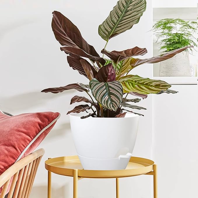 WOUSIWER 10 inch Self Watering Planters, 2 Pack Large Plastic Plant Pots with Deep Reservior and High Drainage Holes for Indoor Outdoor Plants and Flowers, White