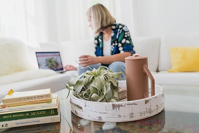 5 Pack Air Plants Red Abdita Tillandsia - Medium Air Plants Live Variety Pack - Live Succulent House Plant - Home Holders and Garden Decor - Easy Care Indoor and Outdoor Plant