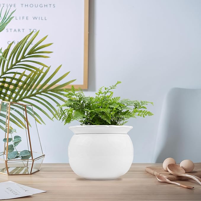 African Violet Pots, 6 inch Ceramic Easy Self Watering Plant Pot for Busy Plant Lovers, Automatically Absorb Appropriate Amount of Water, Flower Pot Indoor-Plants Not Included