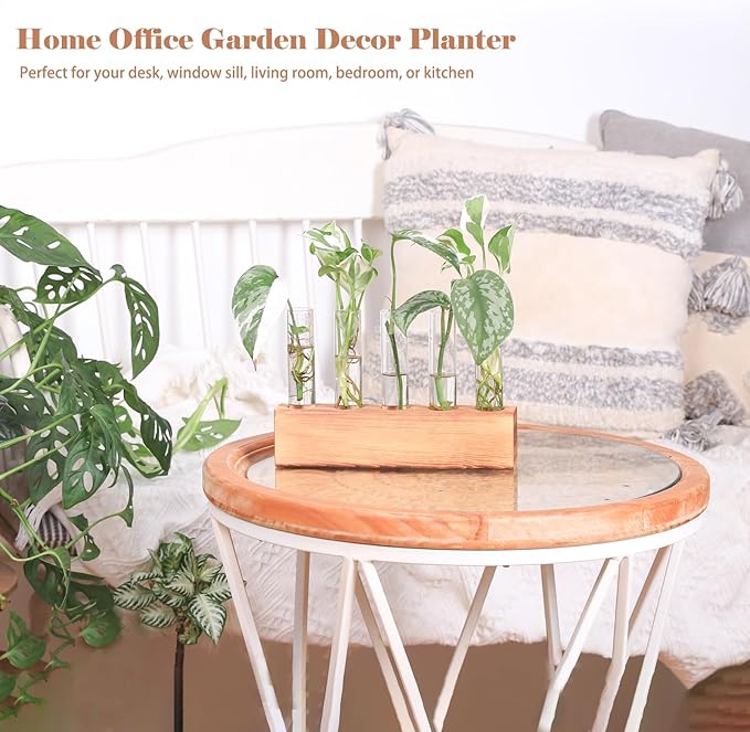 KAXYEW Plant Propagation Station, Plants Propagation Tubes, Gifts for Plant Lovers, Plants Cutting Holder Test Tube Vase Office Desk Garden Décor Gift for Her Mom Women Hydroponic Vase Gift Box