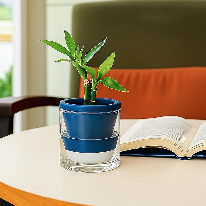 D'vine Dev 4 Inch Design Self Watering Planter for Indoor Plants, Blue Terracotta Pot with Cylinder Glass Cup, Set of 2, 37-Y-A-4