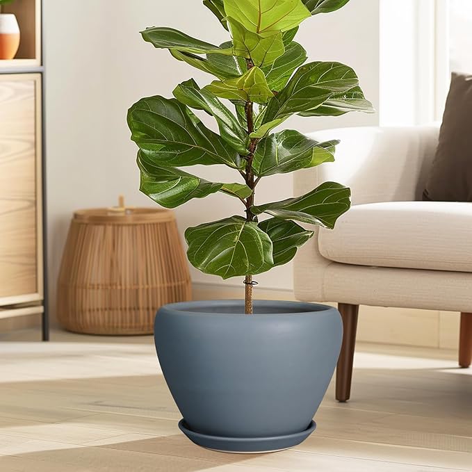 10 Inch Plant Pot - Ceramic Planter for Indoor Plants Large Plant Pot with Drainage Hole and Saucer Round Outdoor Planter Modern Flower Pot for Home Decor Gray