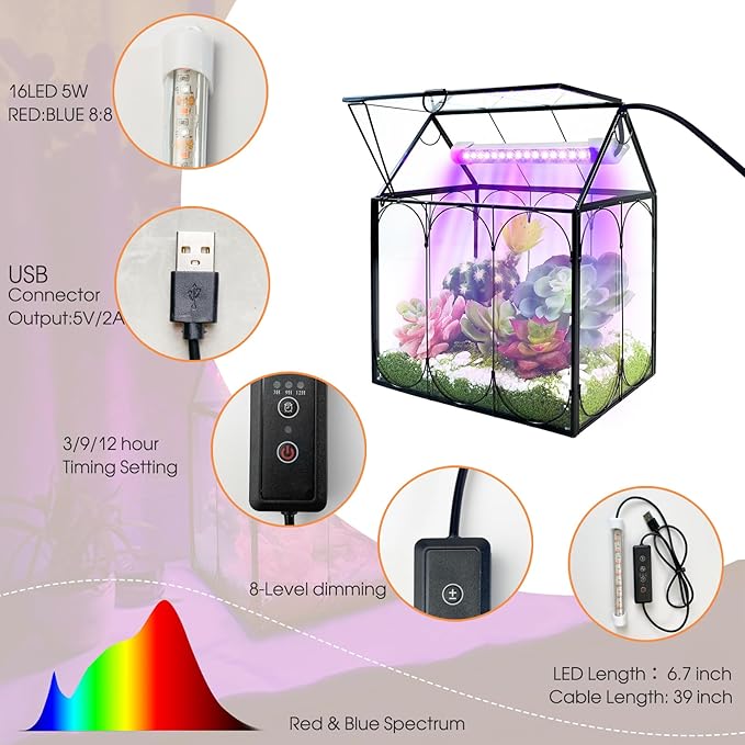 Plant Terrarium with Grow Light, Rifny Indoor House Shape Glass Terrarium Kit with Lid, Small Terrarium Jar Planter for Venus Fly Trap Succulent Live Air Plants Decor for Home Office (Without Plants)