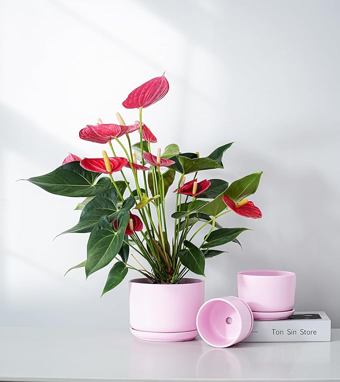 Ton Sin Plant Pots, 4.1+5.1+6.5 inch, Set of 3, Ceramic Planters with Drainage Hole and Saucer, Indoor Flower Pot with Hole Mesh Pad, Gifts for Mom(Matte Pink)