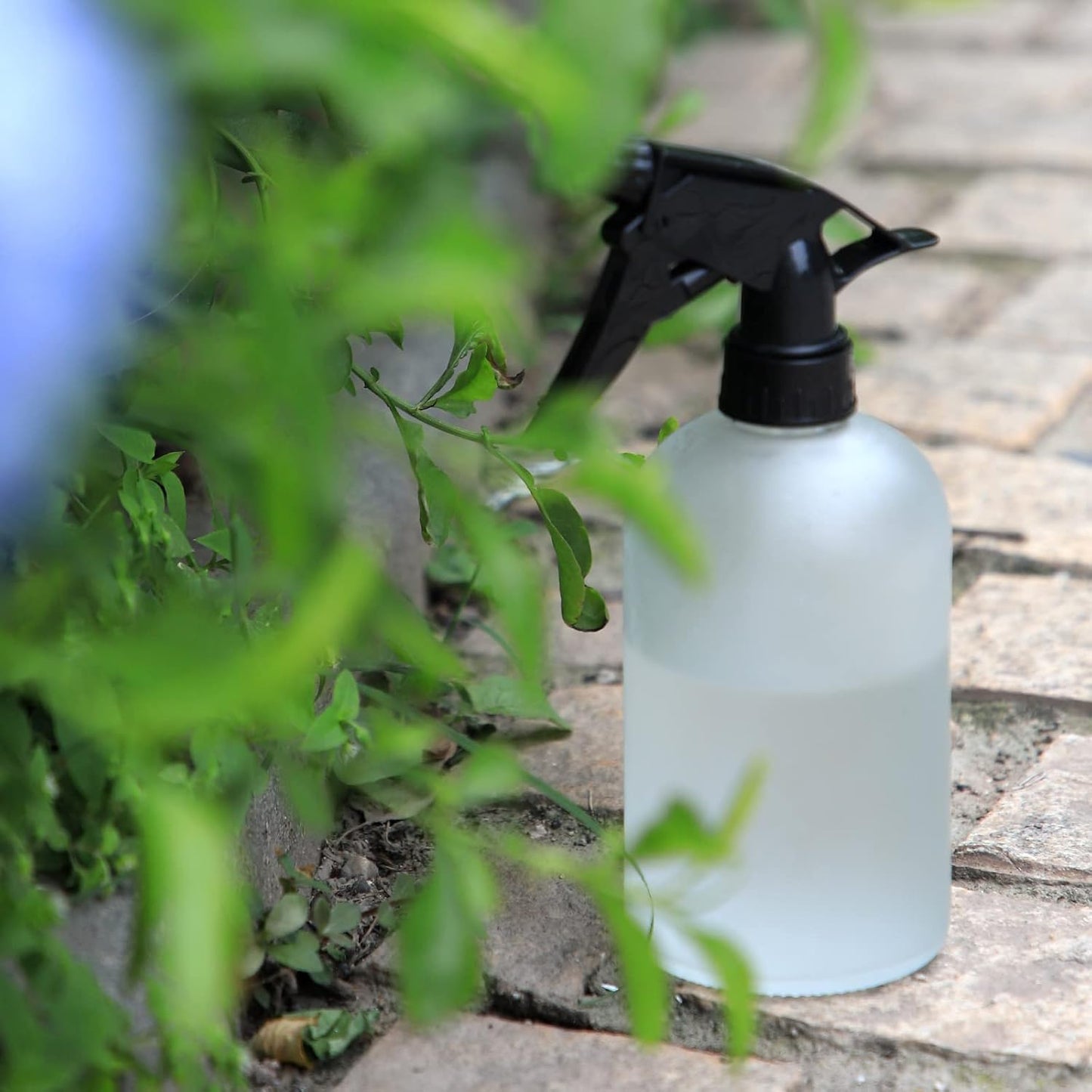 OFFIDIX Glass Spray Bottle,Plant Mister,Pressure Watering Can,Water Spray Bottle with Adjustable Nozzle,0.43L/15.17oz Handheld Spray Bottles for Outdoor Indoor Garden,Cleaning Solutions（Frosted Clear）