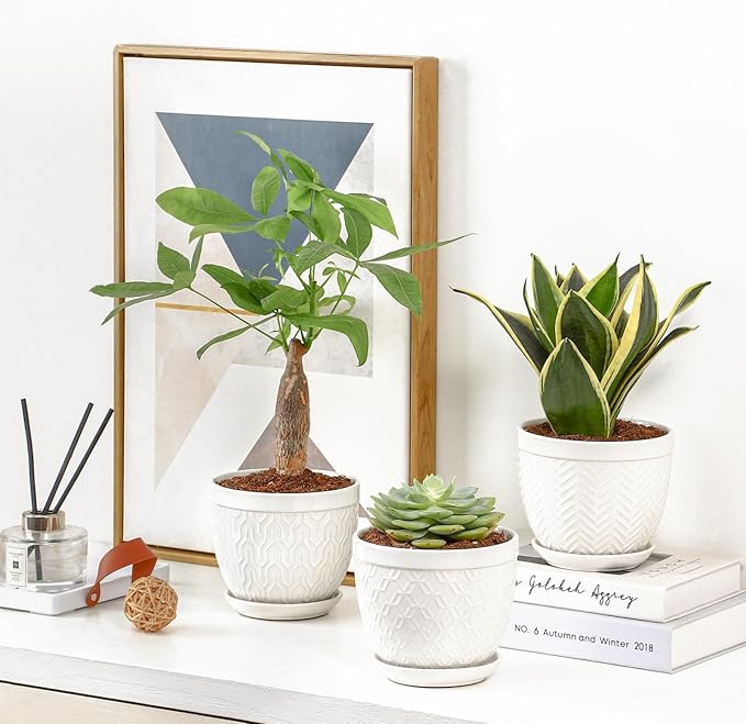 Sureasy Ceramic Indoor Plant Pots - 5.6 Inch Flower Pots for Plants with Drainage Hole and Saucer, Embossed Planter for Succulents, Orchid, Cactus, Indoor Home Decor, Set of 4, White