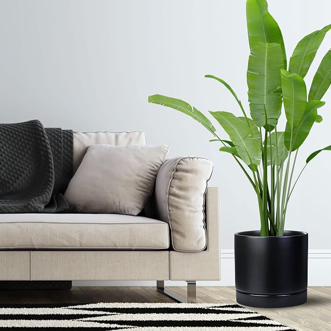 Aveyas 10 inch Ceramic Plant Pot with Drainage Hole and Saucer - Suitable for Indoor and Outdoor Use, Modern Planters for House Garden Flower Tree Snake Monstera Plants (10", Matte Black)