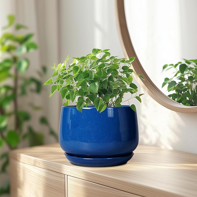 G EPGardening Round Ceramic Plant Pots - 7 Inch Modern Planter with Drainage and Plant Saucer for Indoor Outdoor Flower, Round Office Decor, New Gifts for Home, Blue