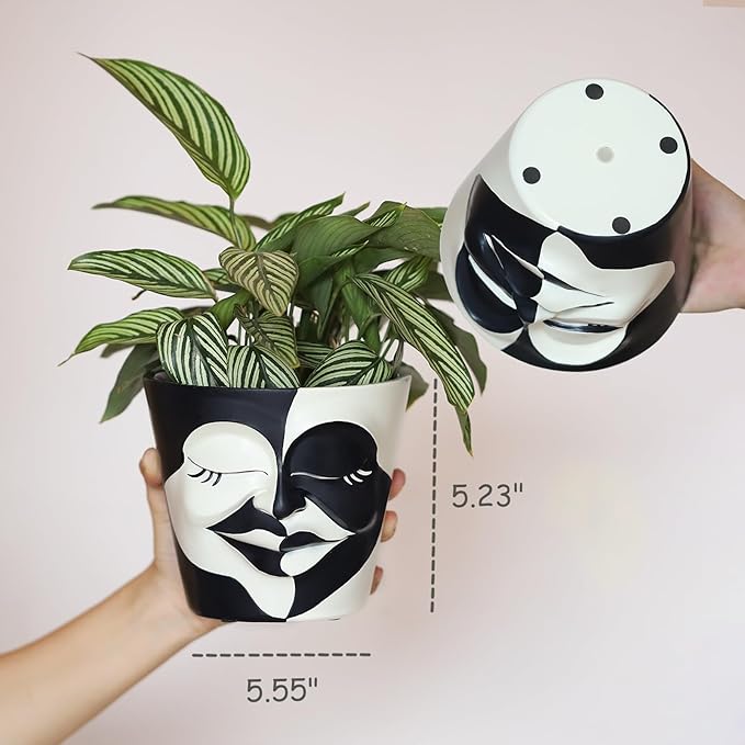 GUGUGO Face Planters Pots with Drainage, Flower Plant Pots for Indoor Plants, Unique Funny Small Succulent Desk Vase for Plant Lover Gifts (Bicolor-Green & White, 5.5Inch)