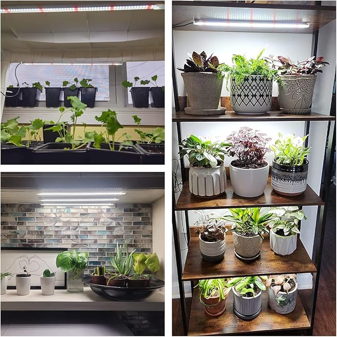 Wiaxulay LED Plant Grow Light Strips, 6000K Full Spectrum Grow Lights for Indoor Plants, Sunlike Growing Lamp with 6/12/16H Timer, 5 Dimmable Levels for Hydroponics Succulent, Plant Shelf, 2 Pack