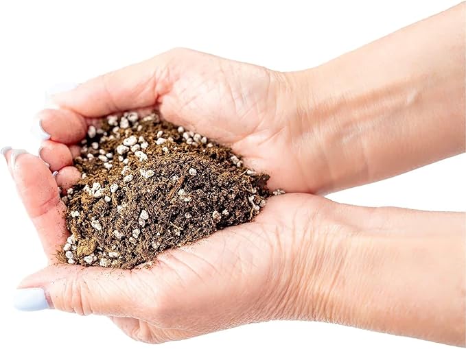 Premium Jade Plant Potting Soil Mix - (2 Quart Bag)