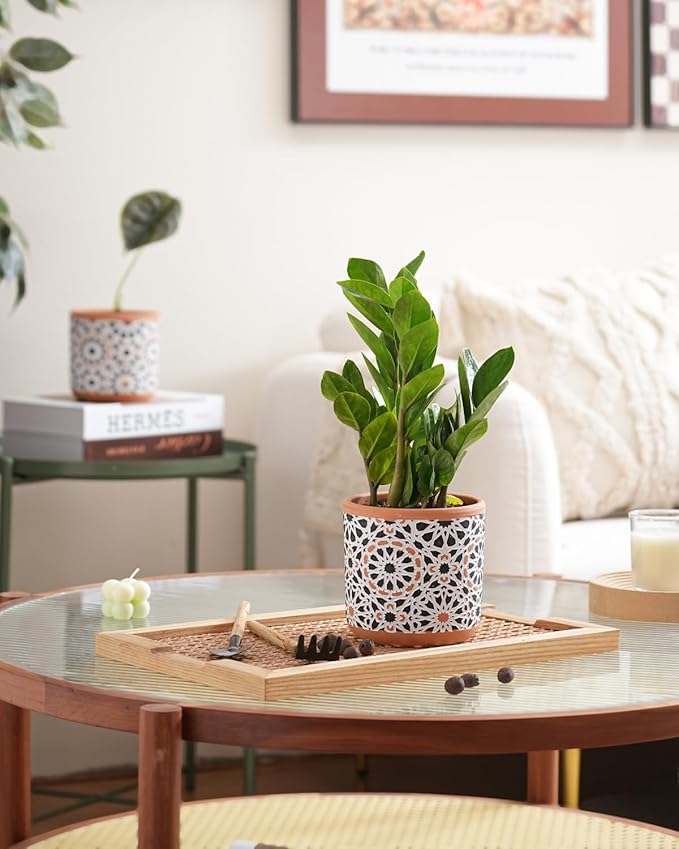 Ceramic Flower Pots for Indoor Plants Set of 2, 5 Inch Boho Plant Pot with Drainage Holes,Modern Planter for Decora Succulents/Snake Plant/Orchid/Peace Lily/House Plants,Terracotta