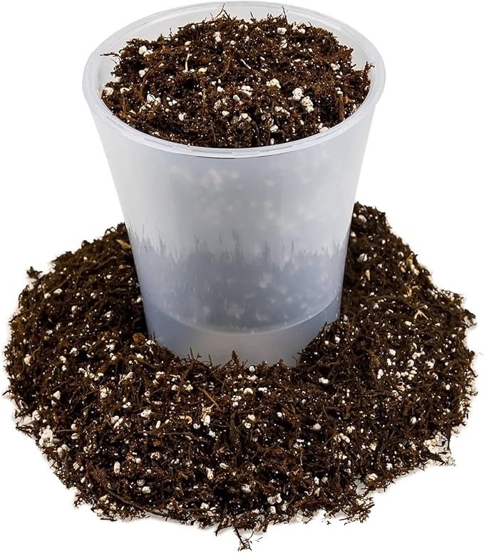 Fern + Perlite Soil Mix - 10 Quart - for Repotting and Planting Succulents and Cactuses (4 Bags of 5 Quart)