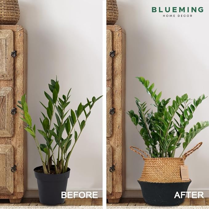 Plant Basket – Small Seagrass Planter Pot for Olive Trees, Woven Wicker Planter 8-9 Inches for Indoor Tall Artificial Plants (Black Bottom, Medium)